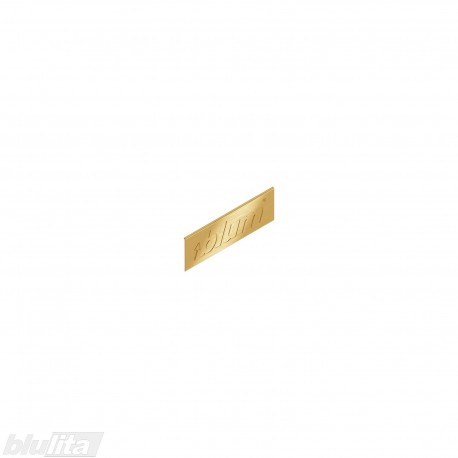 LEGRABOX stalčių šonų dangtelis su Blum logotipu, išorinis, aukso „Gold“ spalvos, simetriškas