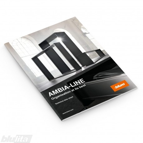 Skrajutė – AMBIA-LINE Organisation at its best, anglų kalba